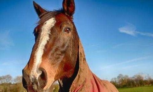 肺癌已经开始骨折能活多久、肺癌骨折会自己愈合吗 -肺癌病人骨折了怎么办网